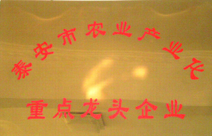 泰安市農(nóng)業(yè)產(chǎn)業(yè)化重點(diǎn)龍頭企業(yè)